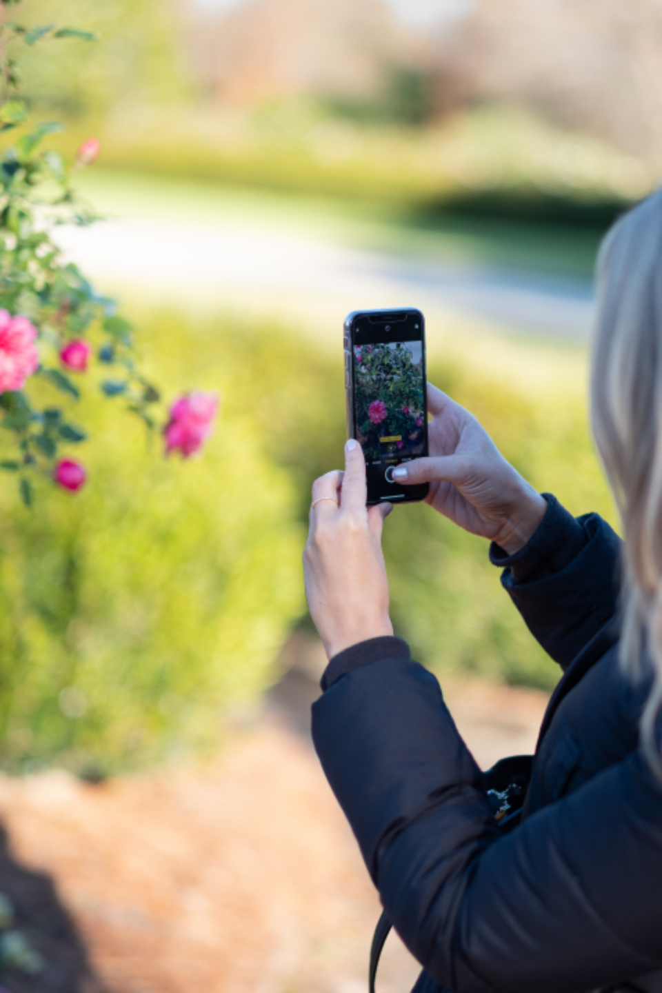 Watching Instagram Reels at night on a smartphone in Egypt